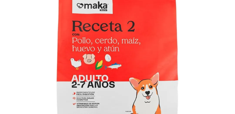 Accesorios prácticos para perros en León GTO y consejos de cuidado local
