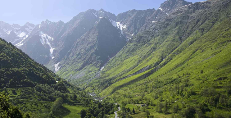 Black Forest Motorcycle Tour: Curves, Forest Air, Cozy Towns