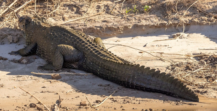 Visit Reserved Area Tour Cusco – Discover Hidden Cusco