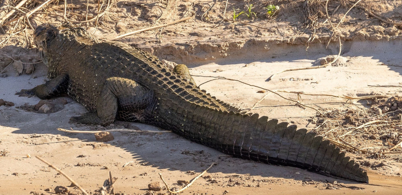 Visit Reserved Area Tour Cusco – Discover Hidden Cusco