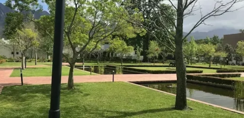 Garden and Lawn Landscaping Services for a Bright, Low-Stress Yard