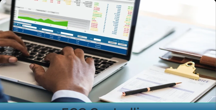 Earn a SAP Online Certificate to Elevate Your Career