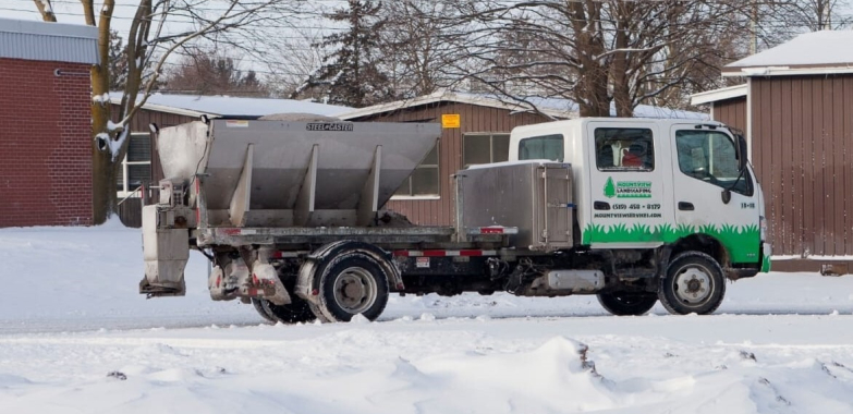 Synthetic Grass Installation in Kitchener