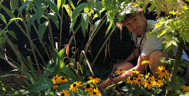 Local Gardener Brighton: Transform Your Garden with a Trusted Neighborhood Expert