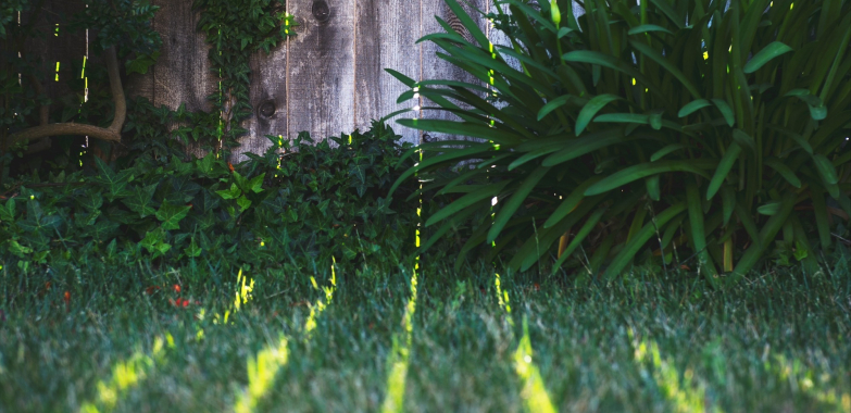 Professional Gardening Services: Transform Your Outdoor Space Today