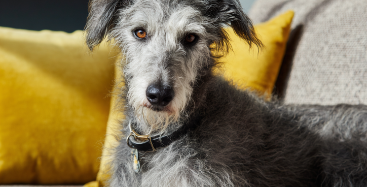 Reliable house cleaning services in bristol for busy homes