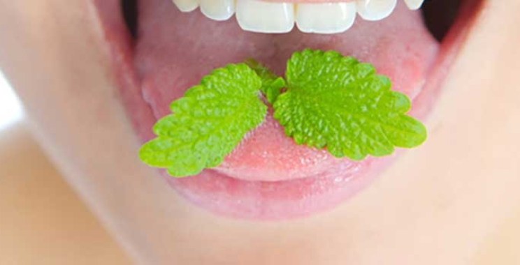 Basal Implants Rajkot: Stable, Quick Tooth Replacement