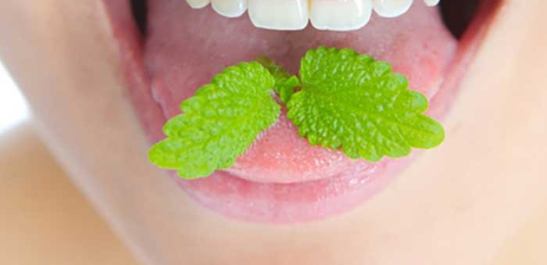 Basal Implants Rajkot: Stable, Quick Tooth Replacement