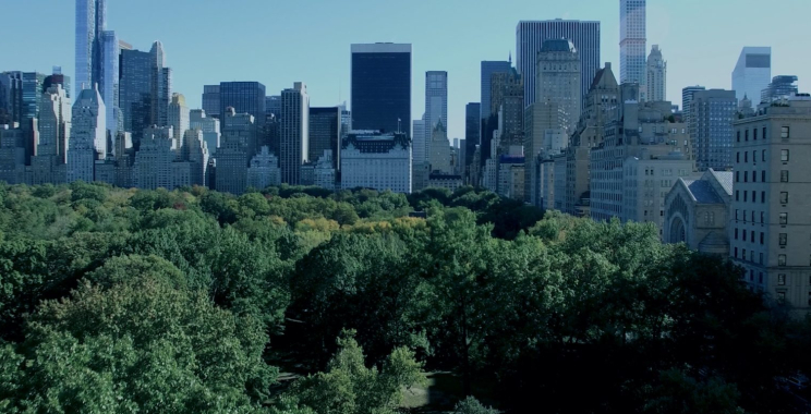 Professional corporate tax compliance services for seamless regulation