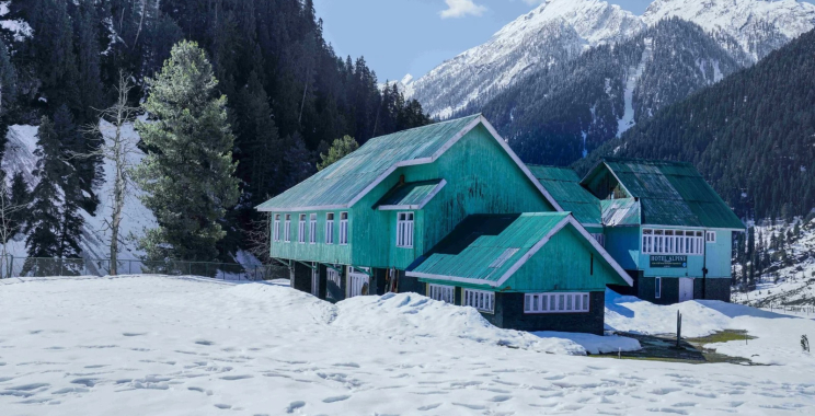 Shimla Tour Packages for Family from Ahmedabad