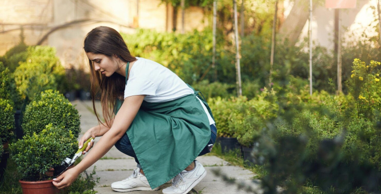 Regular lawn mowing service: dependable, tailored care for your lawn