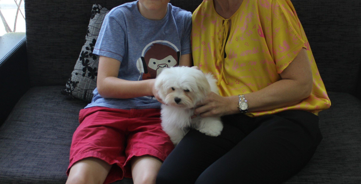 Pet Vet Care Qatar: Trusted Veterinary Services in Doha