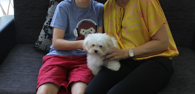 Pet Vet Care Qatar: Trusted Veterinary Services in Doha