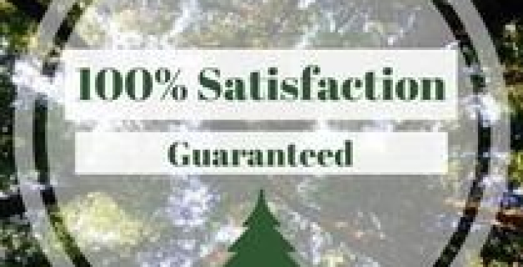 Elk Grove Tree Service — Safe Pruning, Storm Cleanup, and Healthy Trees