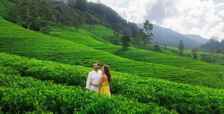 Sri Lanka Tour Packages