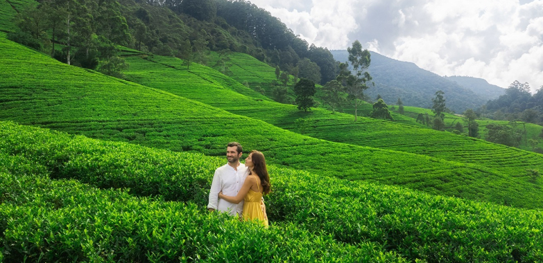 Sri Lanka Tour Packages