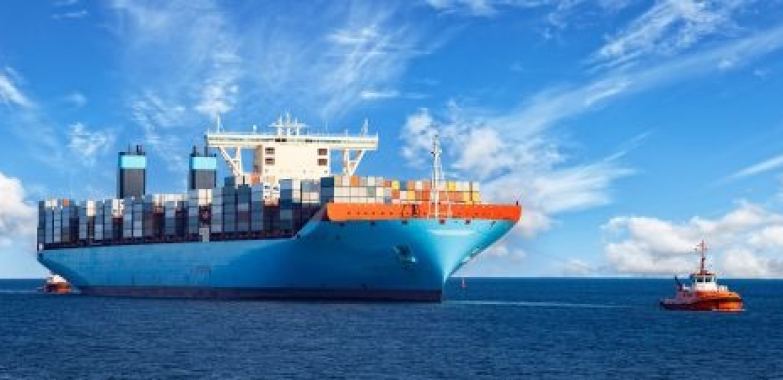 Mena Region Raw Materials Trade: Key Forces Shaping Growth