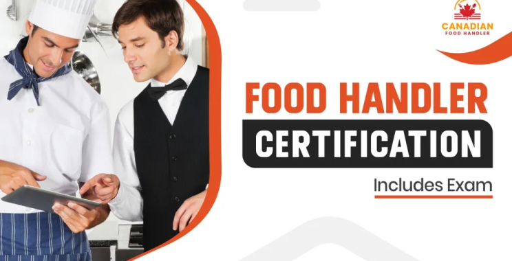Food handling certification: essential for safe, compliant kitchens