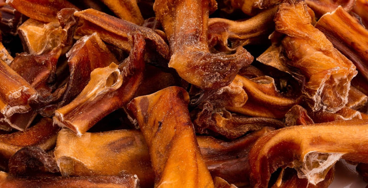 Bully Bites: What It Is and How to Respond