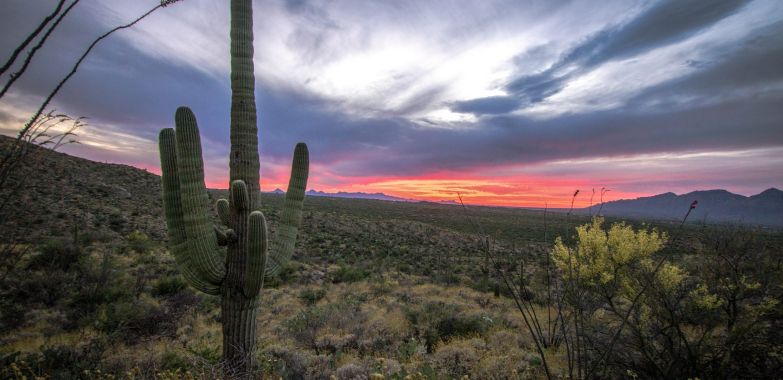 Home Improvement Tucson Az: Trusted Local Pros