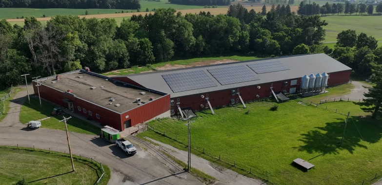 Sustainable Poultry Production: Practical Pathways for UK Farms