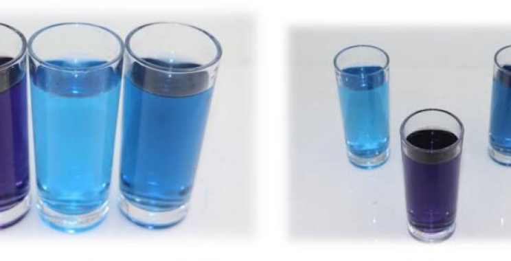 Private Tutors Adelaide: Trusted Support for Students