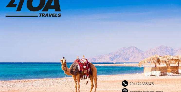 Saqqara Tour | Toatravels.com