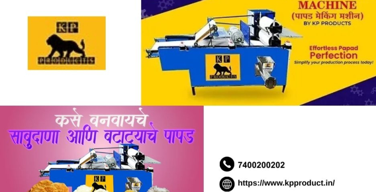 Start Your Business Easily When You Buy Semi Papad Machine