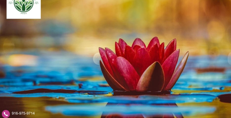 Landscapers Rocklin | Rocklinlandscapingpros.com