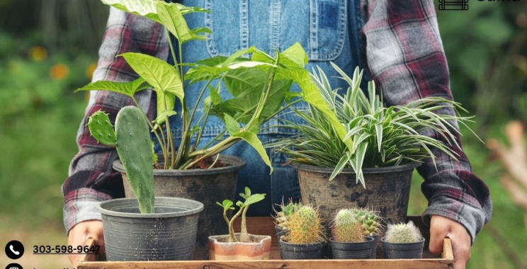 Marketplace For Home Based Food Sellers | Cuina