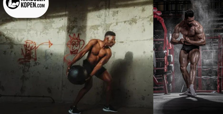 Anabole steroïden kopen | Anabolenkopen.com