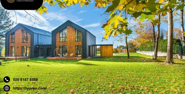 Top Quality Professional Hedge Cutting in Wimbledon for Neat Gardens