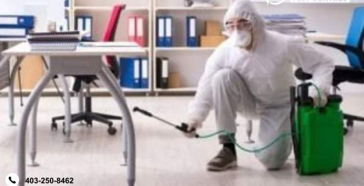 Calgary Mosquito Control | Positivepestcontrol.ca