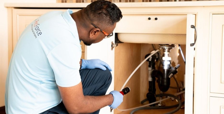 Bed Bug Exterminator | Pestforcecalgary.com