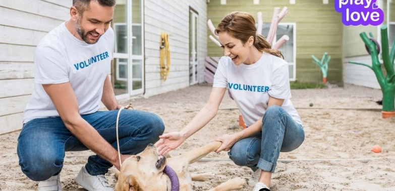 Playdate App For Dogs | Petdatingnearme.com