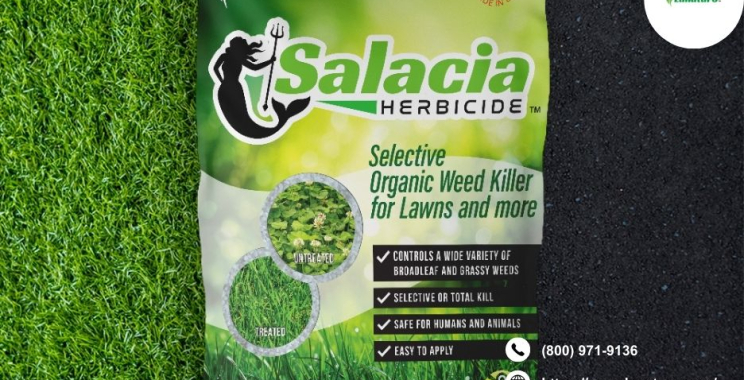 Buy Bulk Weed Killer Spray – Save More Today