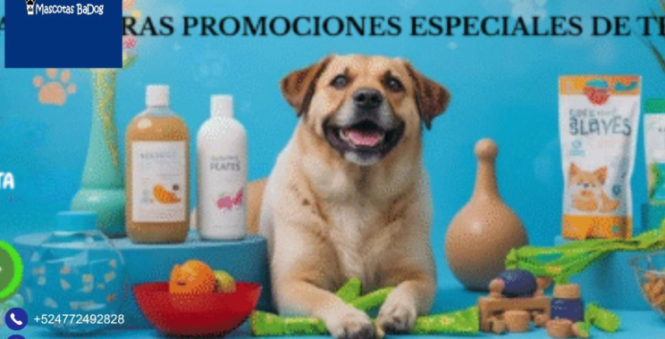 Cuidado veterinario de confianza en León, Guanajuato