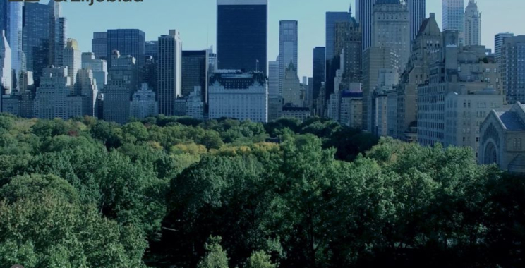 Effektiv skatteplanering för ditt företag – expertfrågor och rådgivning