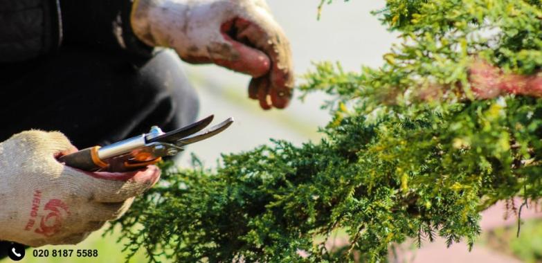 Expert landscape gardeners Sutton Surrey for stunning outdoor spaces