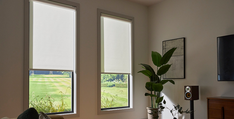 Trusted Will County Tech Specialists for Smart Home Upgrades