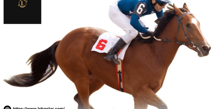 探索真實博彩樂趣的活動平臺：高端澳門風格線上娛樂體驗