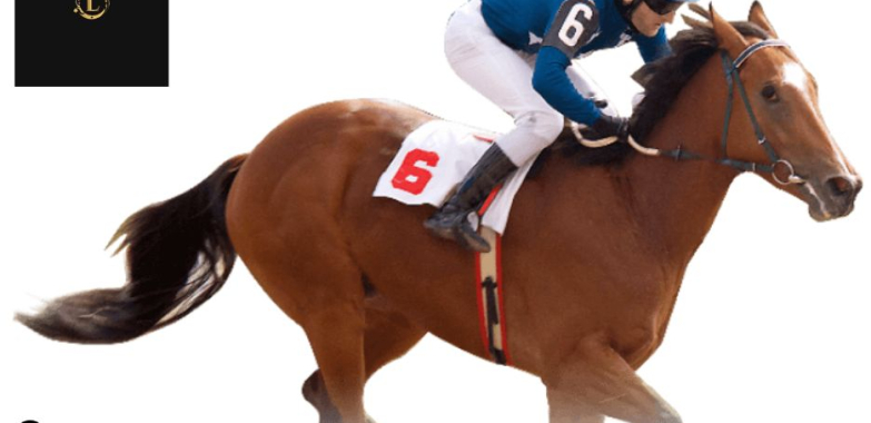 探索真實博彩樂趣的活動平臺：高端澳門風格線上娛樂體驗