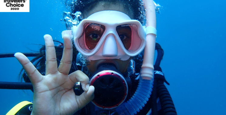 Discover Sri Lanka’s Enchanting Underwater Adventures with Expert Guides