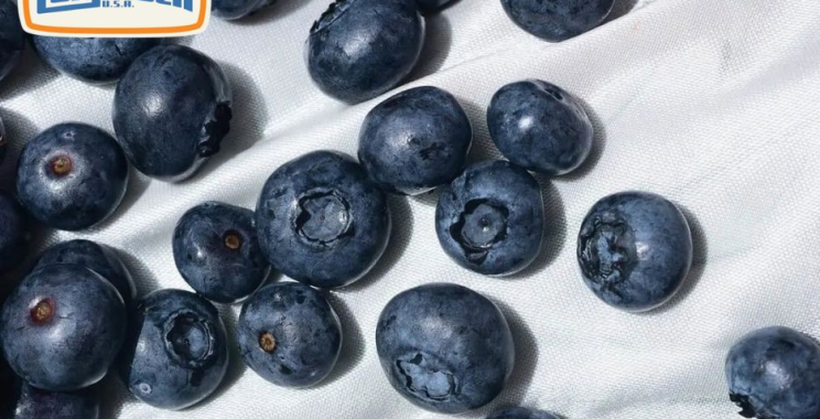 Discover Premium Nicotine Pouches for a Smooth, Discreet Experience