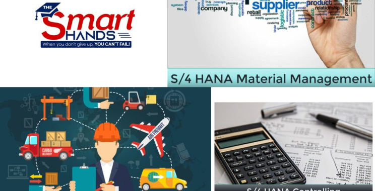 Elevate Finance Skills with Expert SAP Controlling Training