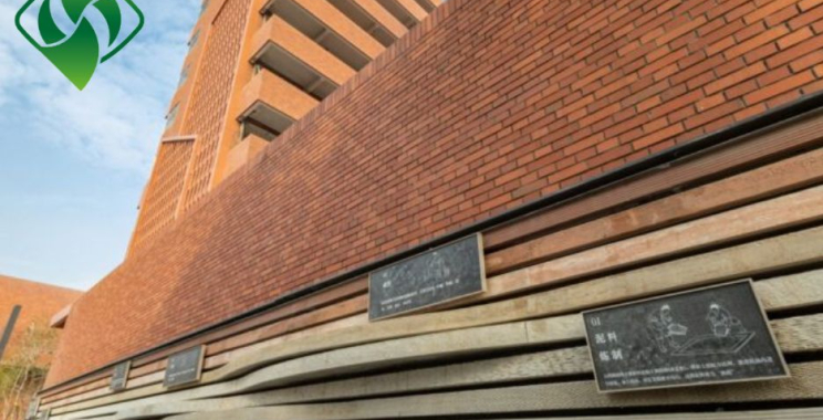 Durable Cement Board for Stylish Wall Decor and Surfaces