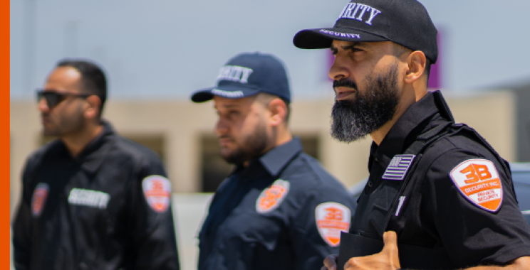 Premium Protective Solutions for Santa Monica Properties