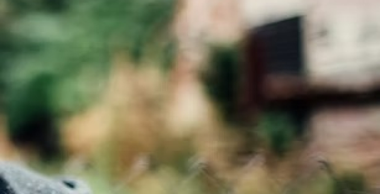 Trusted immigration advice and visa support in New Zealand