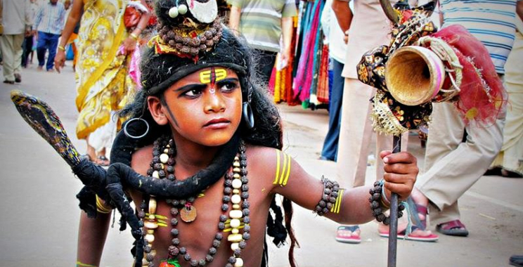 Safari en Inde Ranthambore: A Native Wildlife Escape