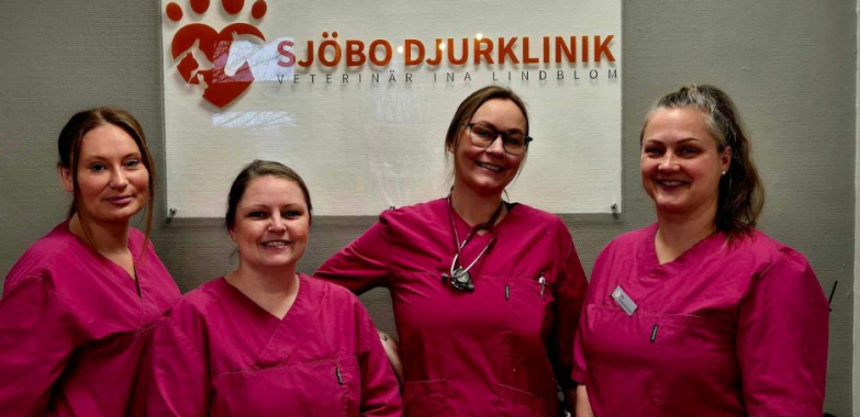 Pålitlig hembesöksveterinär i Skurup för ditt husdjur